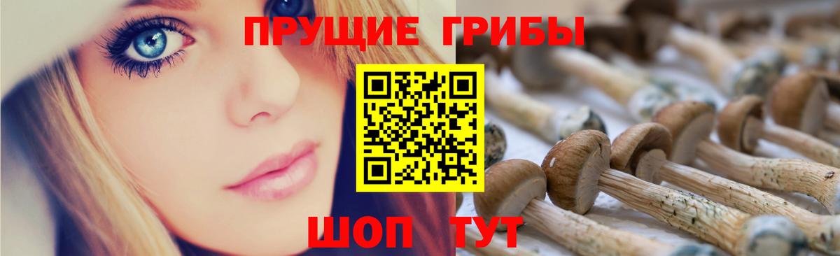 Псилоцибиновые грибы прущие грибы Югорск